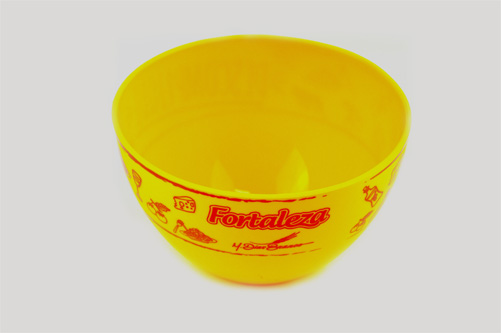 Fortaleza 1